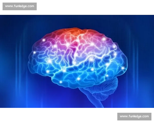 脑电波竞技新时代:探索人脑潜能与思维极限的较量 脑电波竞技新时代:探索人脑潜能与思维极限的较量